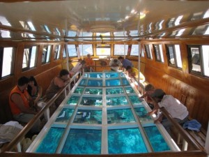 glass bottom boats in sharm el sheikh